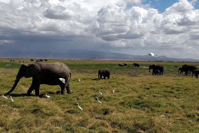 6 Days Kenya Safari - Packing Essentials