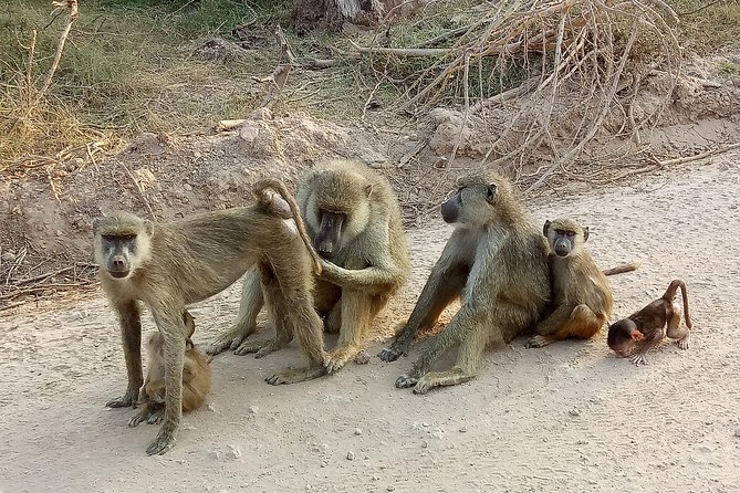 6 Days Kenya Safari - Cultural Experiences