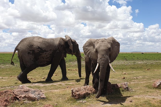 6 Days Kenya Safari - Frequently Asked Questions