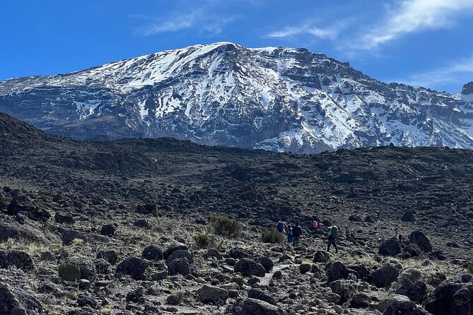 6 Days Kilimanjaro Climbing Marangu Route - Pricing Information