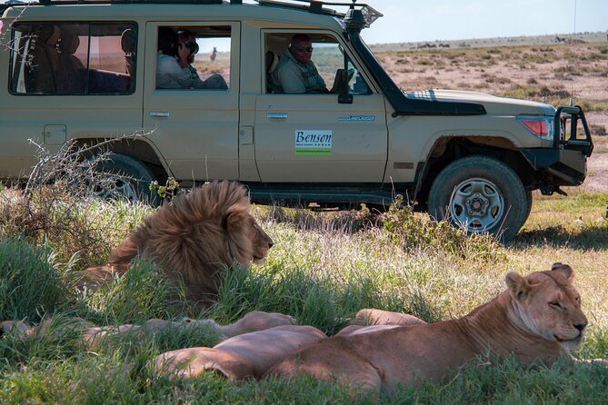 6 Days Lodge & Tented Camp Luxury - The Serengeti Trail & Tarangire - Accommodation Details