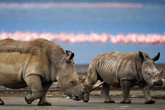 6 Days Lodge & Tented Camp Luxury - The Serengeti Trail & Tarangire - Itinerary Overview