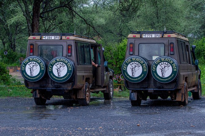 6 Days Luxury Northern Circuit Safari - A Glimpse of Tanzania Adventure - Luxury Accommodations Included