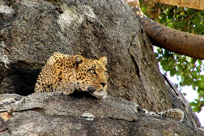 6 Days Luxury Safari Ngorongoro, Manyara and Serengeti - The Sum Up
