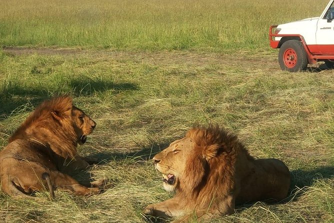 6 Days Maasai Mara - Lake Nakuru -Amboseli Group Safari - Location and Overview