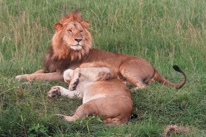 6 Days Maasai Mara - Nakuru - Amboseli Budget Group Safari. - Frequently Asked Questions