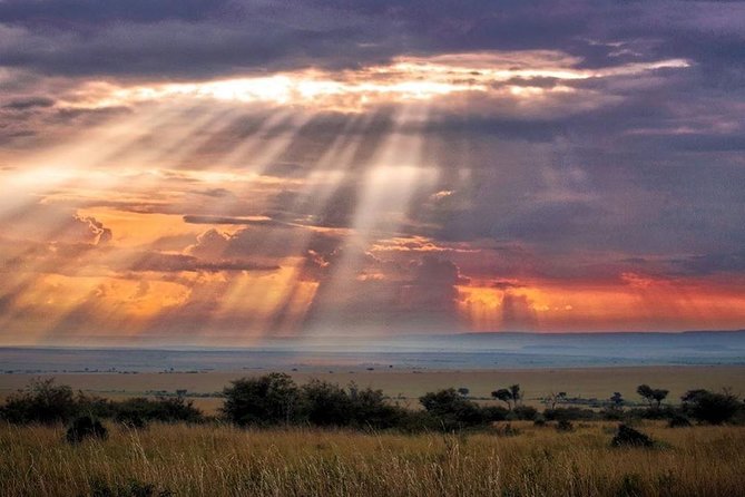 6 Days Maasai Mara/Nakuru/Amboseli Group Safari - Safari Inclusions