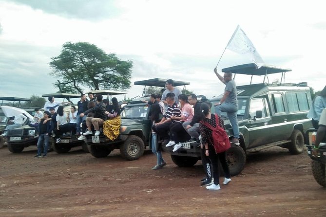 6 Days Maasai Mara/Nakuru/Amboseli Group Safari - Group Size and Logistics