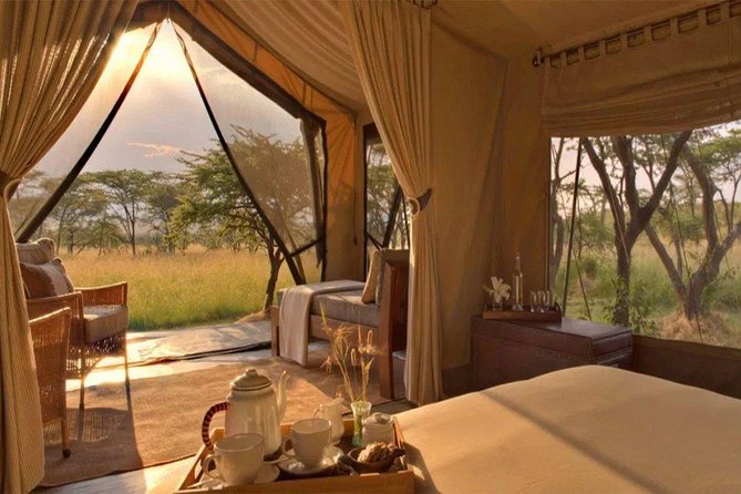6 Days Maasai Mara/Nakuru/Amboseli Group Safari - Pricing and Booking Information