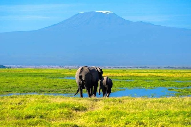 6 Days Machame Route From Arusha / Kilimanjaro - Tour Requirements