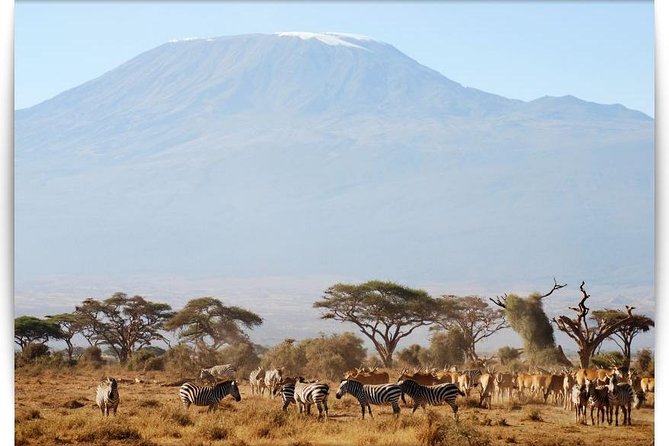 6 Days Machame Route From Arusha / Kilimanjaro - Directions
