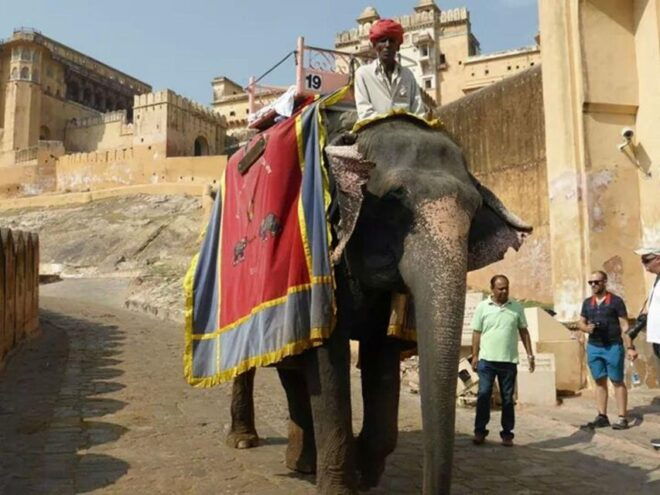6 Days Magnificent Rajasthan Tour - Important Information