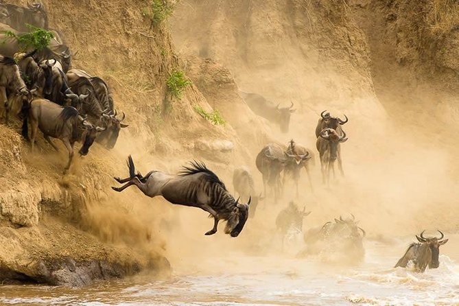 6 Days Masai Mara Wildebeest Migration Safari - Inclusions