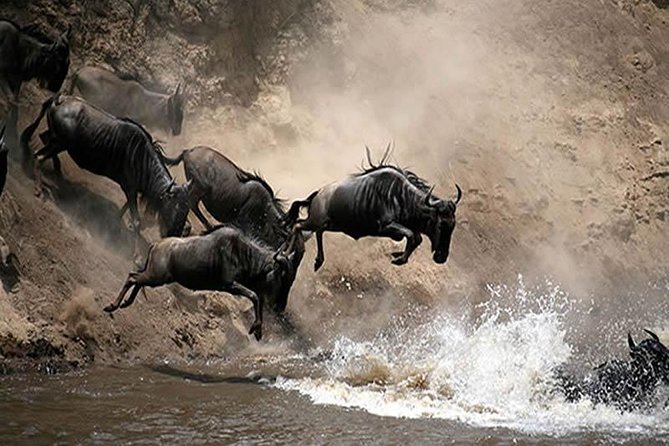 6 Days Masai Mara Wildebeest Migration Safari - Cancellation Policy
