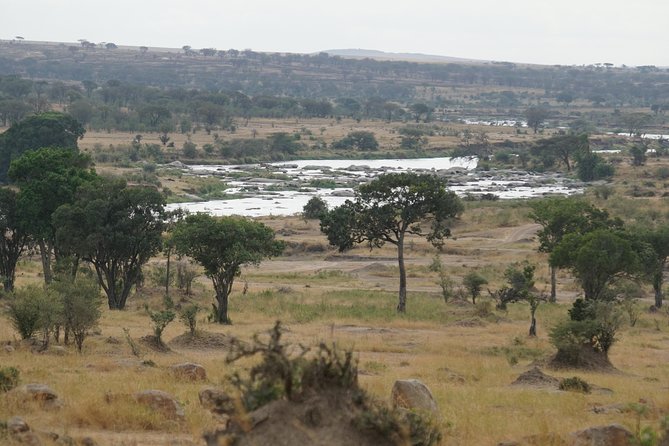 6 Days Migration Crossing in Mara River Northern Serengeti - Frequently Asked Questions