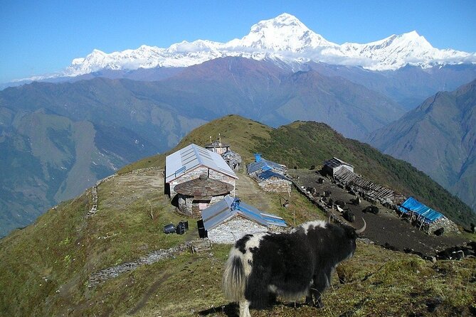 6 Days Morare Danda Hill Community Trek - Additional Information