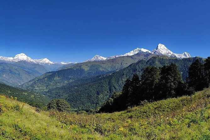 6 Days Morare Danda Hill Community Trek - The Sum Up