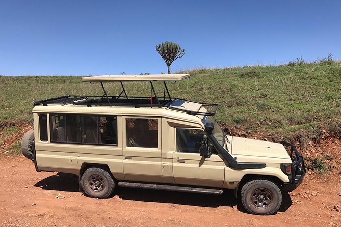 6 Days Mount Kenya, Aberdare, Lake Bogoria, Baringo, Lake Nakuru, Masai Mara - Safari Schedule Details