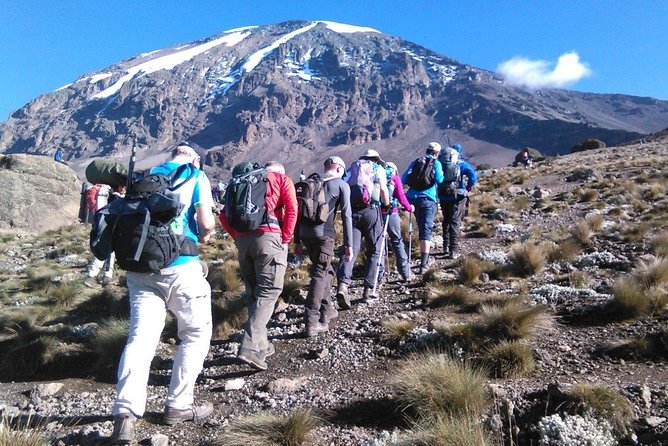 6 Days Mount Kilimanjaro Machame Route Climb - Good To Know