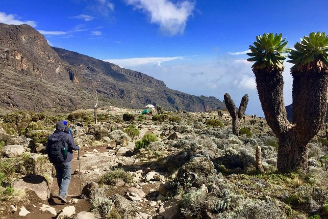 6 Days Mount Kilimanjaro Machame Route Climb - Inclusions and Exclusions