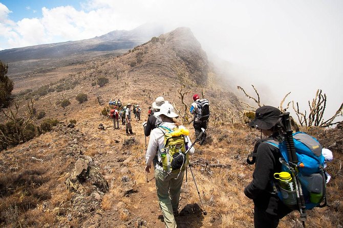 6 Days Mount Kilimanjaro Trekking via Machame Route - Good To Know