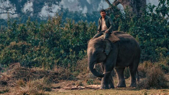 6 Days Nepal Tour With Chitwan National Park - Inclusions and Exclusions