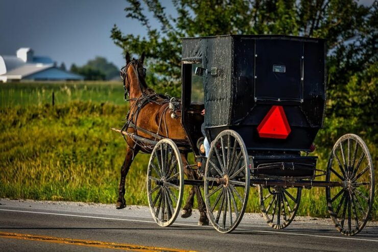 6 Days-Niagara: Toronto: Washington: Amish: Philadelphia NYC - Itinerary Highlights