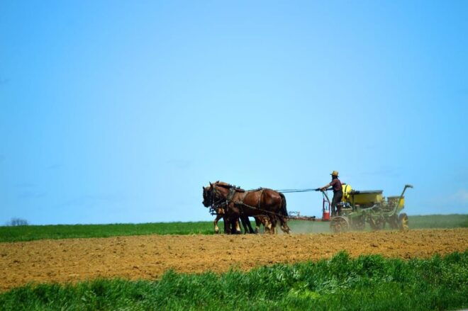6 Days-Niagara: Toronto: Washington: Amish: Philadelphia NYC - Niagara Falls
