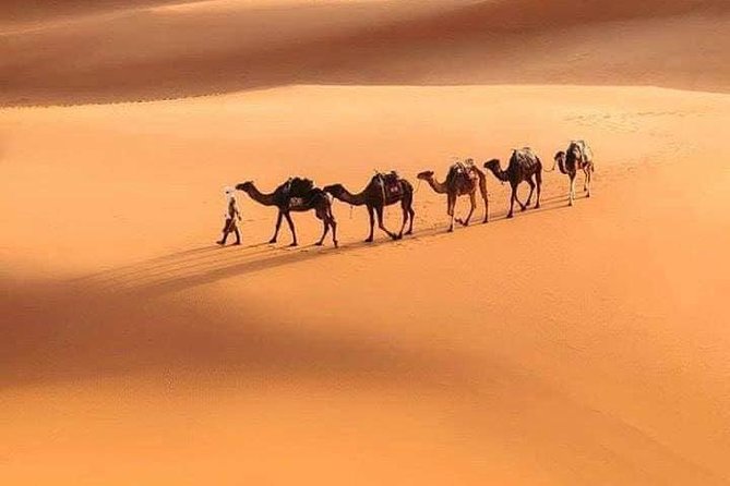 6 Days Nomad Desert Tour - Marrakesh > Merzouga > Marrakesh - Day 1: Marrakesh to Dades Gorges