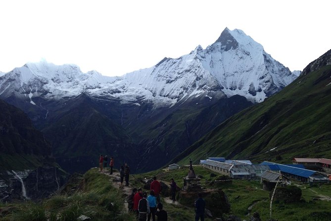 6 Days Panoramic Yoga Trek - Connecting With Nature Through Mindfulness