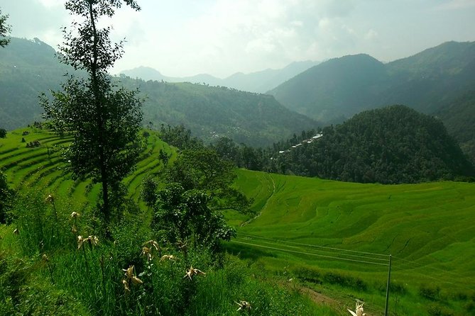 6 Days Panoramic Yoga Trek - Self-Discovery and Relaxation Journey