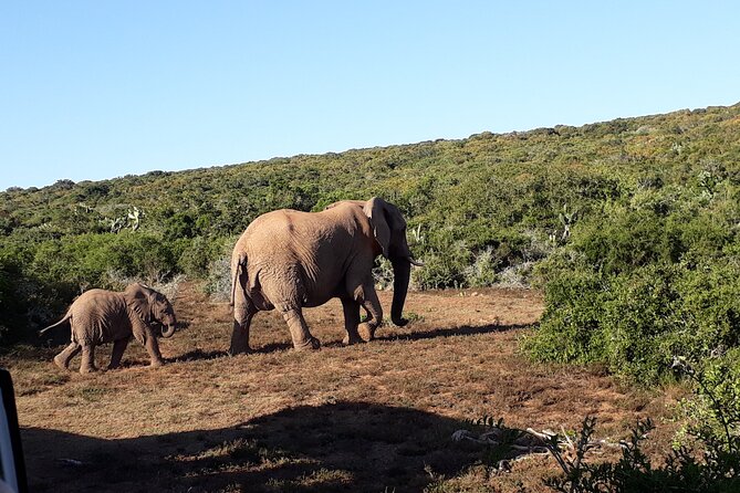 6 Days Private Discovery of Cape Town and Surroundings - Day 1: Exploring Cape Town
