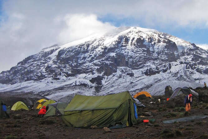 6 Days Private Kilimanjaro Climb Tour Lemosho Route - Good To Know