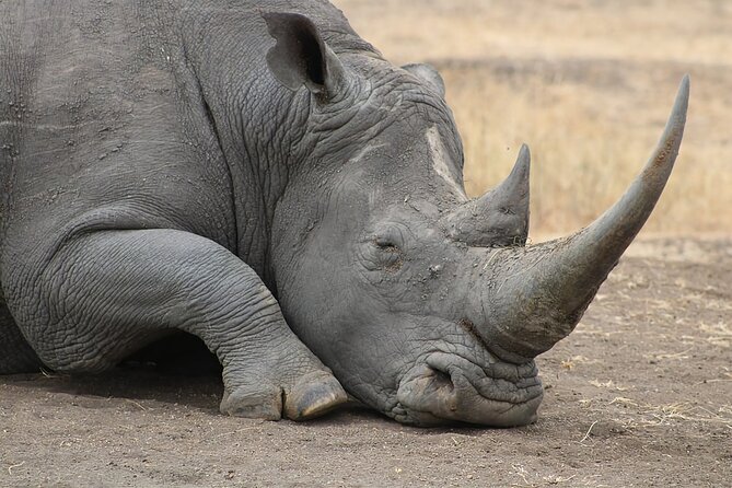 6 Days Private Safari in Nairobi - Dietary Requirements and Accommodation