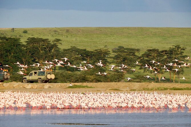 6 Days Private Safari in Nairobi - Pricing and Guarantee