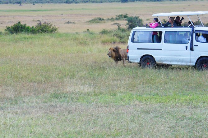 6 Days Private Safari Package Kenya - Package Details