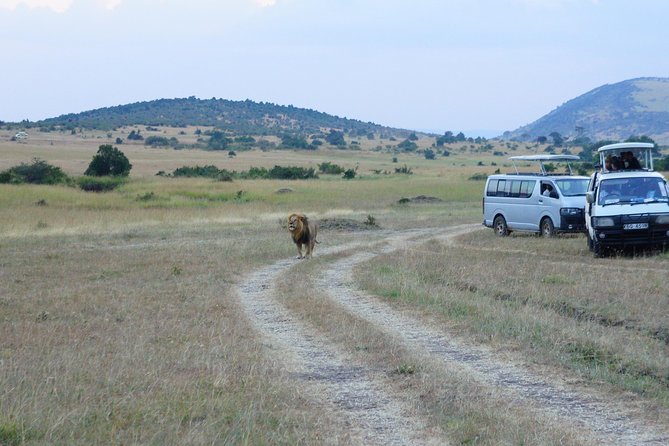 6 Days Private Safari Package Kenya - Location and Meals