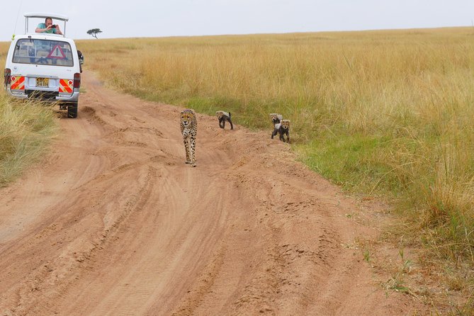 6 Days Private Safari Package Kenya - What to Expect