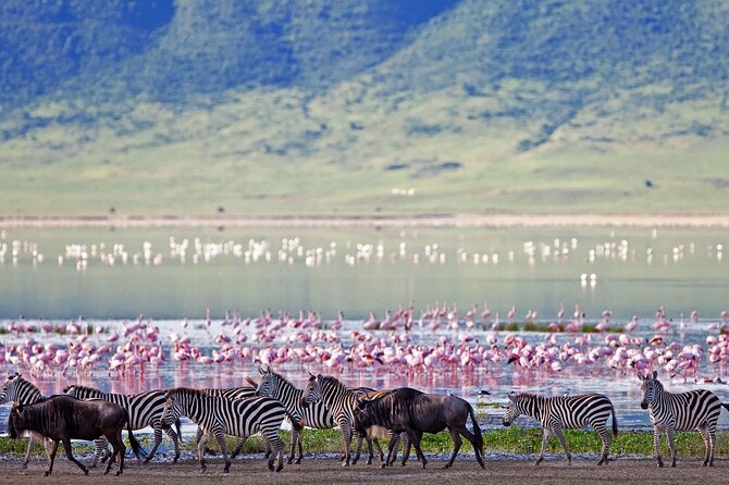 6 Days Private Safari; Serengeti, Ngorongoro & Materuni - Important Reminders