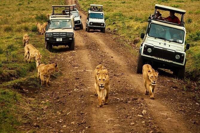 6 Days Private Safari; Serengeti, Ngorongoro & Materuni - Cancellation Policy