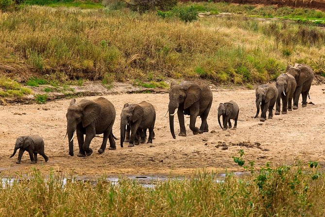 6 Days Private Safari Tour Tanzania - Cultural Immersion