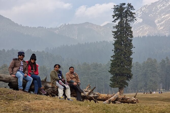 6 Days Private Tour in Kashmir - Good To Know