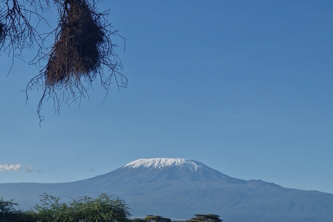 6 Days Private Tour in Mt Kenya Circuit Wild Safari - Meals and Dining