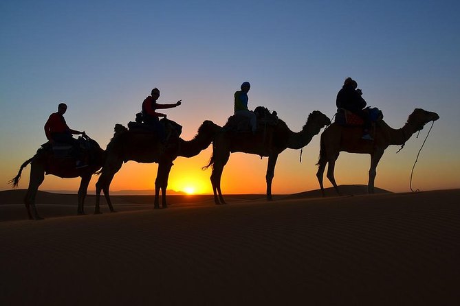 6 Days Private Tour to South Morocco Desert With Camel Trek - Good To Know