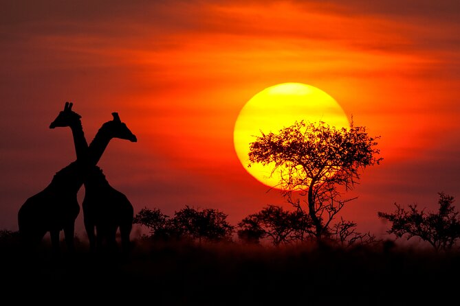 6 Days Private Tour to The Great Wildebeest Migration Calving Season - Accommodation Overview