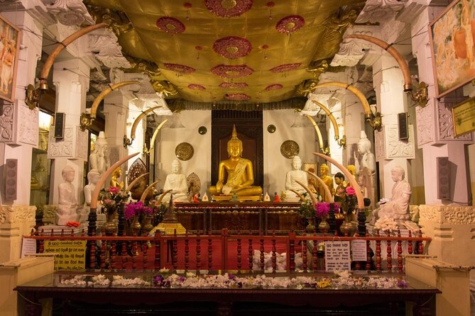 6 Days Private Vehicle With Driver Explore Sri Lanka By Your Own Plans - Good To Know