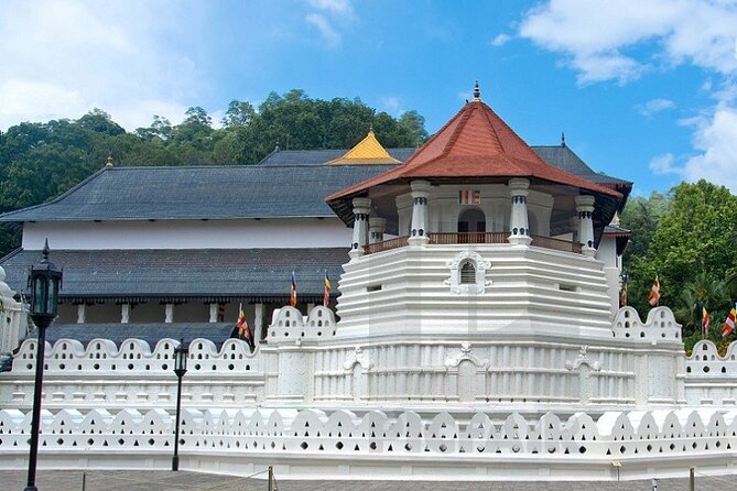 6 Days Private Vehicle With Driver Explore Sri Lanka By Your Own Plans - Tips for a Memorable Experience