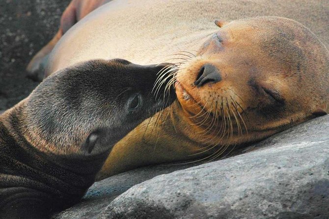 6-Days Quito & Galapagos Basic - Accommodation Details