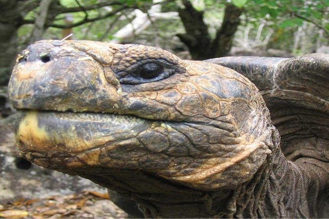 6-Days Quito & Galapagos Basic - Additional Notes for Travelers