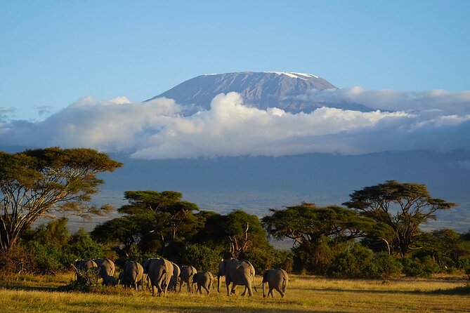6 Days Safari Tour in Amboseli, Tsavo West and Tsavo East - Accommodation and Meals